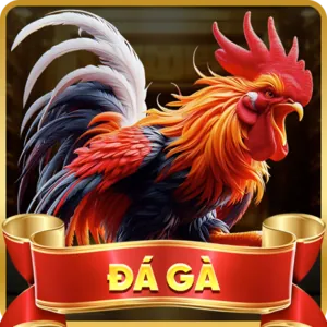 Cá cược Đá Gà X8BET