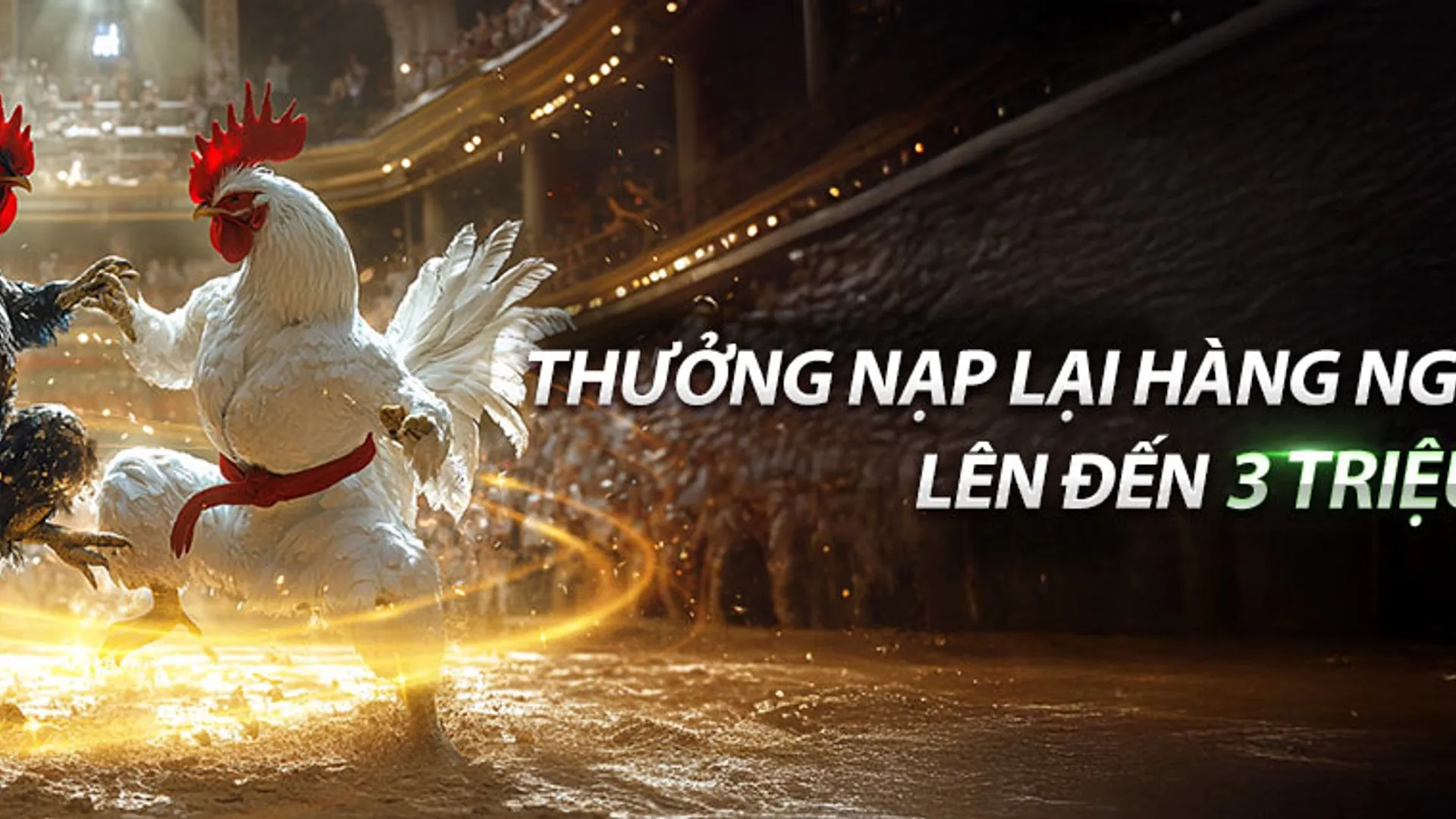Hình ảnh tổng quan về dự đoán hàng ngày X8bet và cơ hội chiến thắng